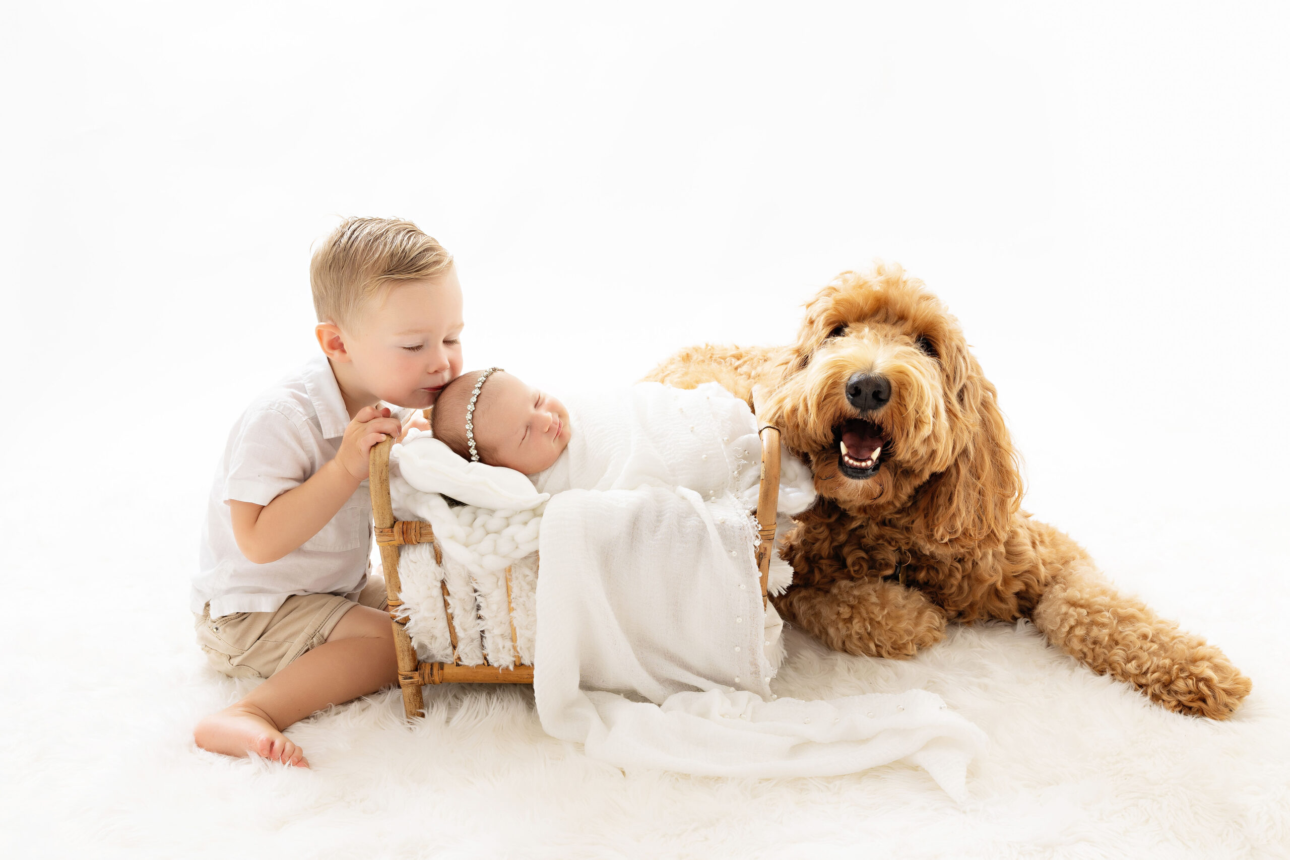 Newborn baby girl with big brother and their golden doodle on an all white background in a NJ photo studio.