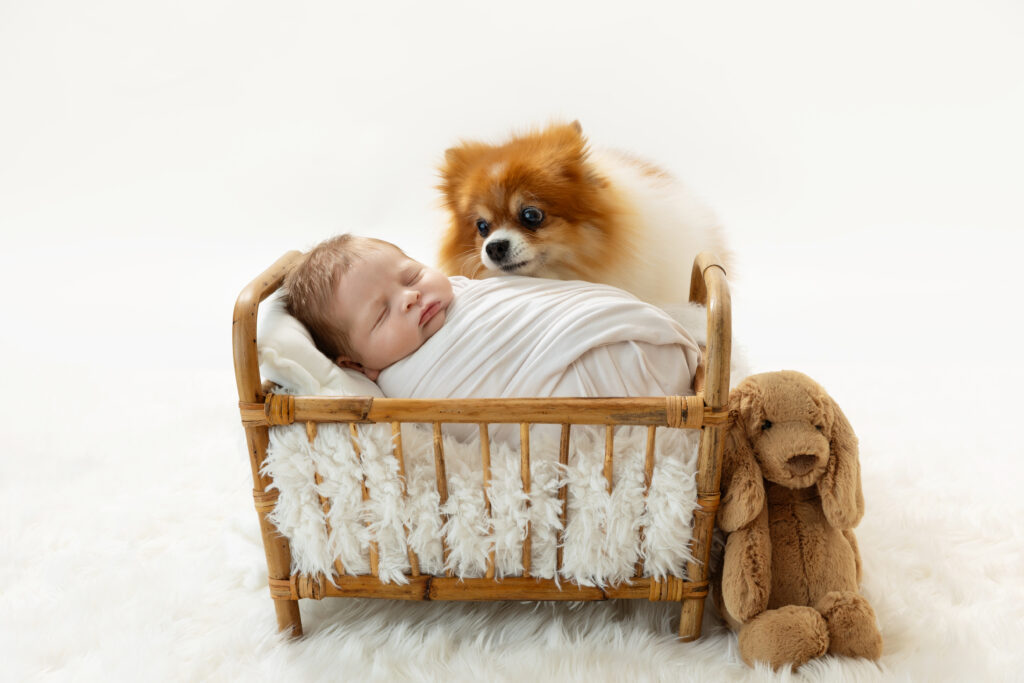 newborn baby boy swaddled in a white blanket laying in a tiny wooden crib with his pomeranian dog & stuffed animal next to him.